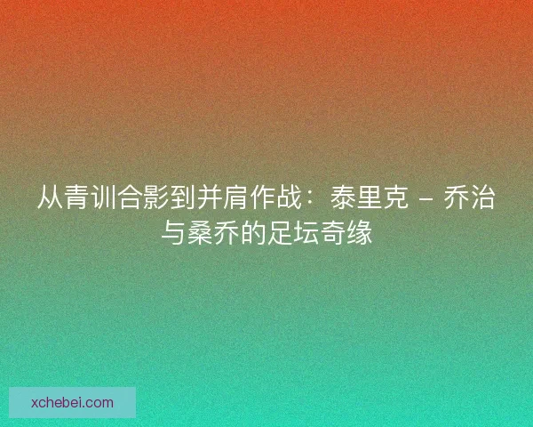 从青训合影到并肩作战：泰里克 - 乔治与桑乔的足坛奇缘